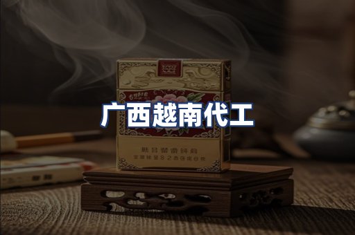 广西越南代工